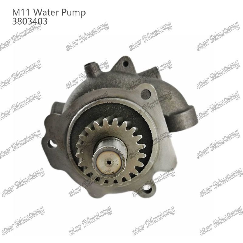 Πυροσβεστήρα M11 4955706 4926553 Κοντός άξονας για CUMMINS Μέρη επισκευής κινητήρων ντίζελ