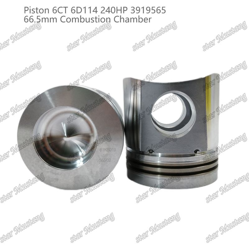 Πιστόνας 6CT 6D114 240HP 3919565 66.5mm Θάλαμος καύσης για εξαρτήματα επισκευής κινητήρων ντίζελ Cummins