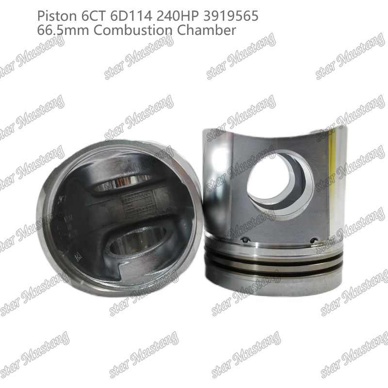 Πιστόνας 6CT 6D114 240HP 3919565 66.5mm Θάλαμος καύσης για εξαρτήματα επισκευής κινητήρων ντίζελ Cummins
