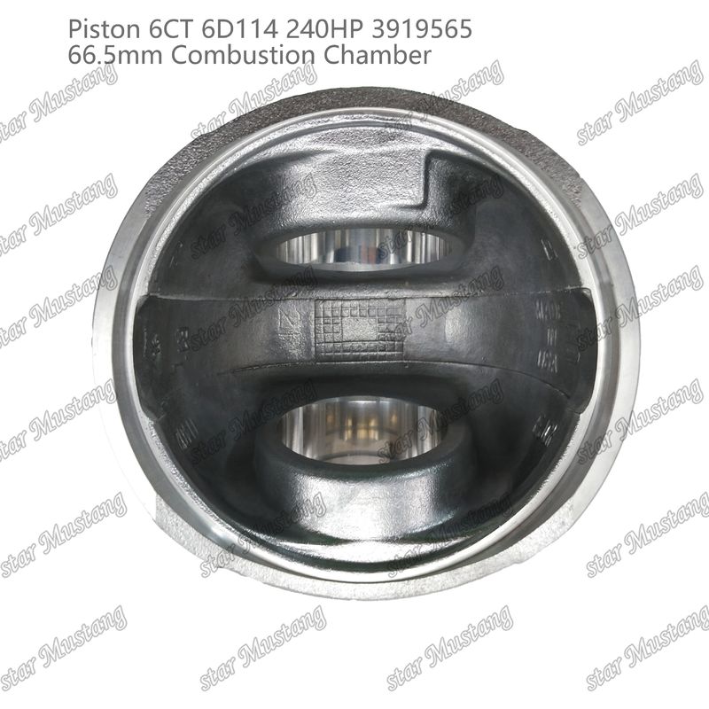 Πιστόνας 6CT 6D114 240HP 3919565 66.5mm Θάλαμος καύσης για εξαρτήματα επισκευής κινητήρων ντίζελ Cummins