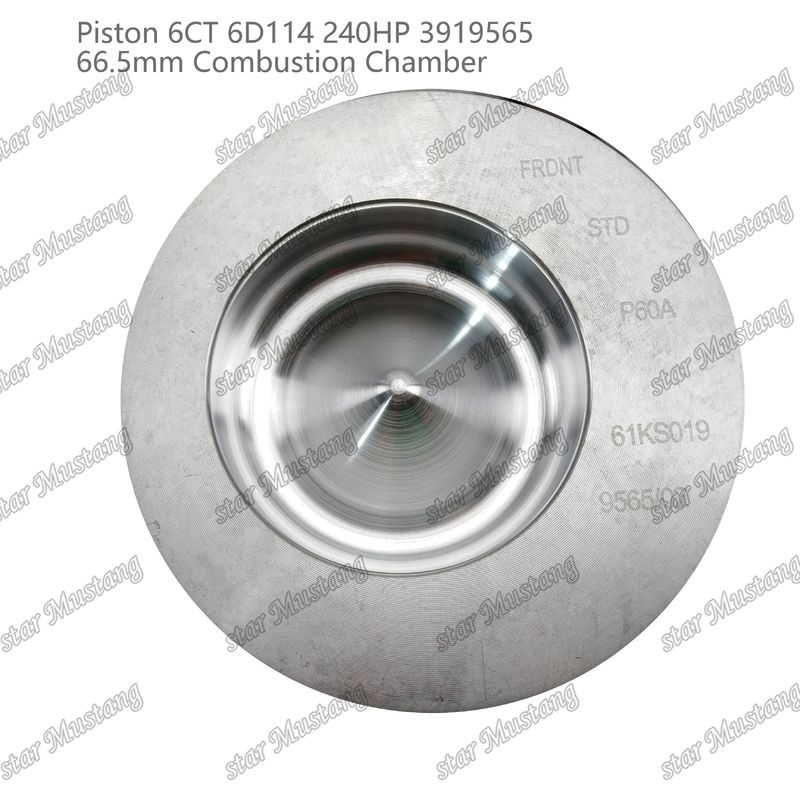 Πιστόνας 6CT 6D114 240HP 3919565 66.5mm Θάλαμος καύσης για εξαρτήματα επισκευής κινητήρων ντίζελ Cummins