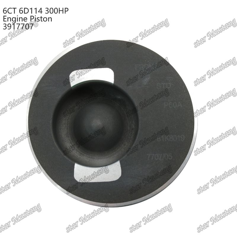 Πιστόνας 6CT 6D114 300HP 3917707 55mm Θάλαμος καύσης για εξαρτήματα επισκευής κινητήρων ντίζελ Cummins