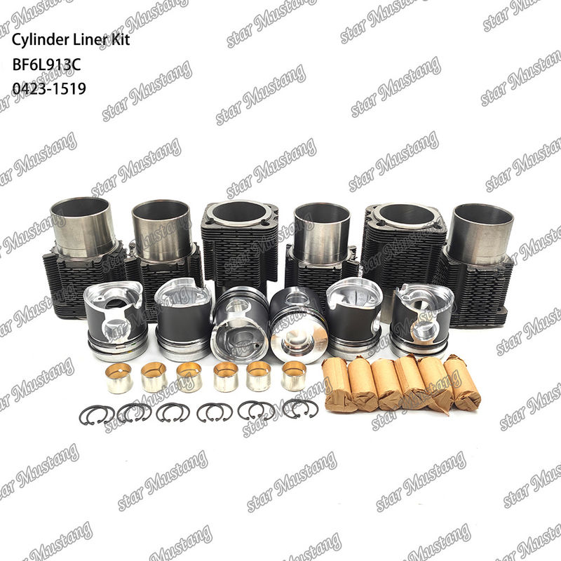 Νέα κατάσταση κινητήρα ντίζελ Τύπου Liner Kit για BF6L913C 0423-1519