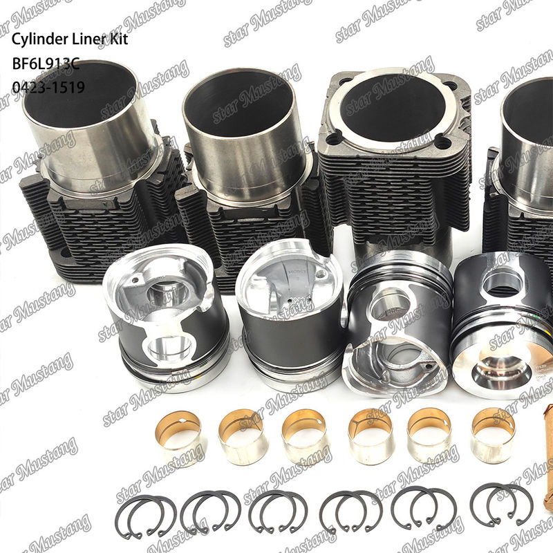 Νέα κατάσταση κινητήρα ντίζελ Τύπου Liner Kit για BF6L913C 0423-1519