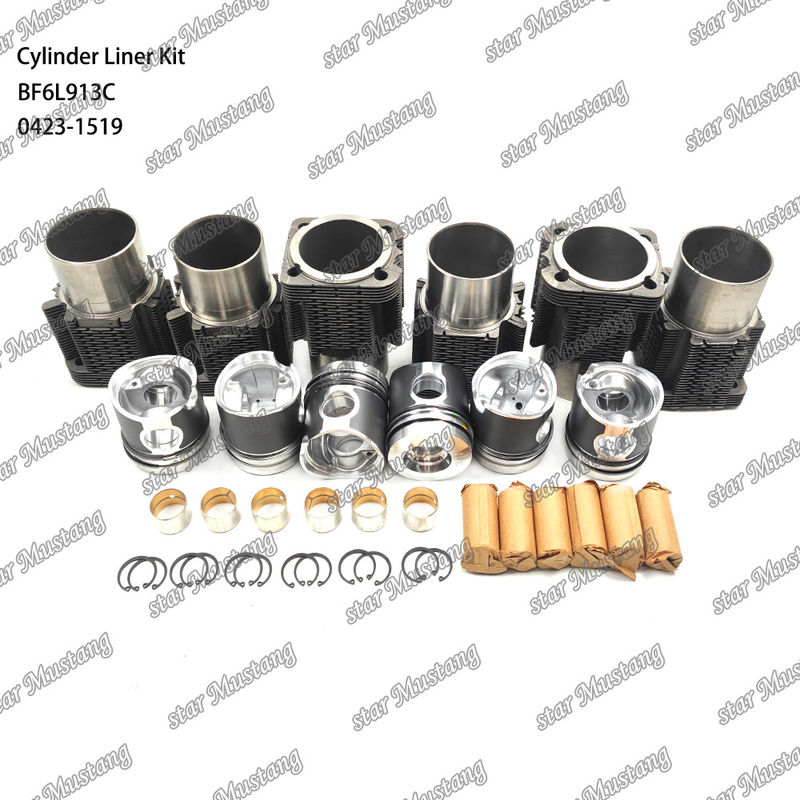 Νέα κατάσταση κινητήρα ντίζελ Τύπου Liner Kit για BF6L913C 0423-1519