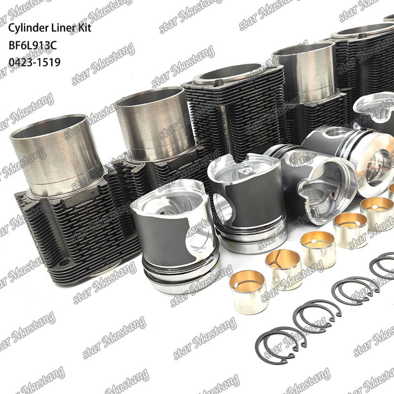 Νέα κατάσταση κινητήρα ντίζελ Τύπου Liner Kit για BF6L913C 0423-1519