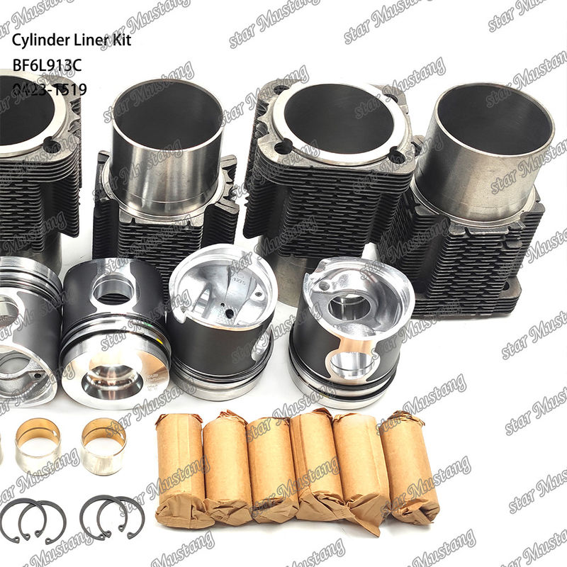 Νέα κατάσταση κινητήρα ντίζελ Τύπου Liner Kit για BF6L913C 0423-1519