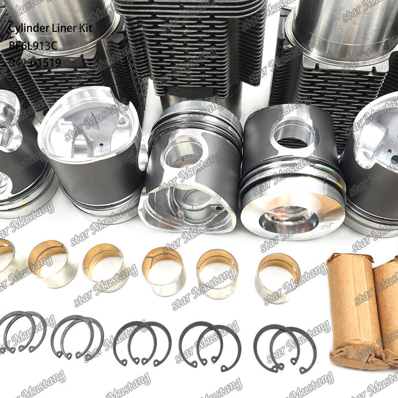 Νέα κατάσταση κινητήρα ντίζελ Τύπου Liner Kit για BF6L913C 0423-1519