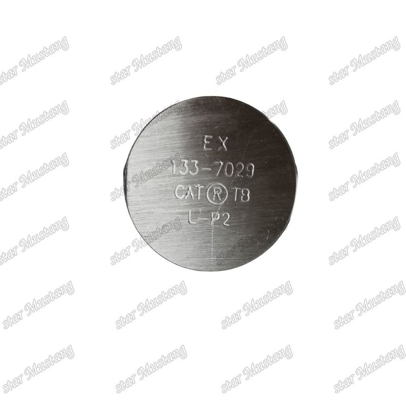 3176C C10 IN 7E9578 EX 133-7029 Βαλβίδα για ανταλλακτικά κινητήρα Caterpillar