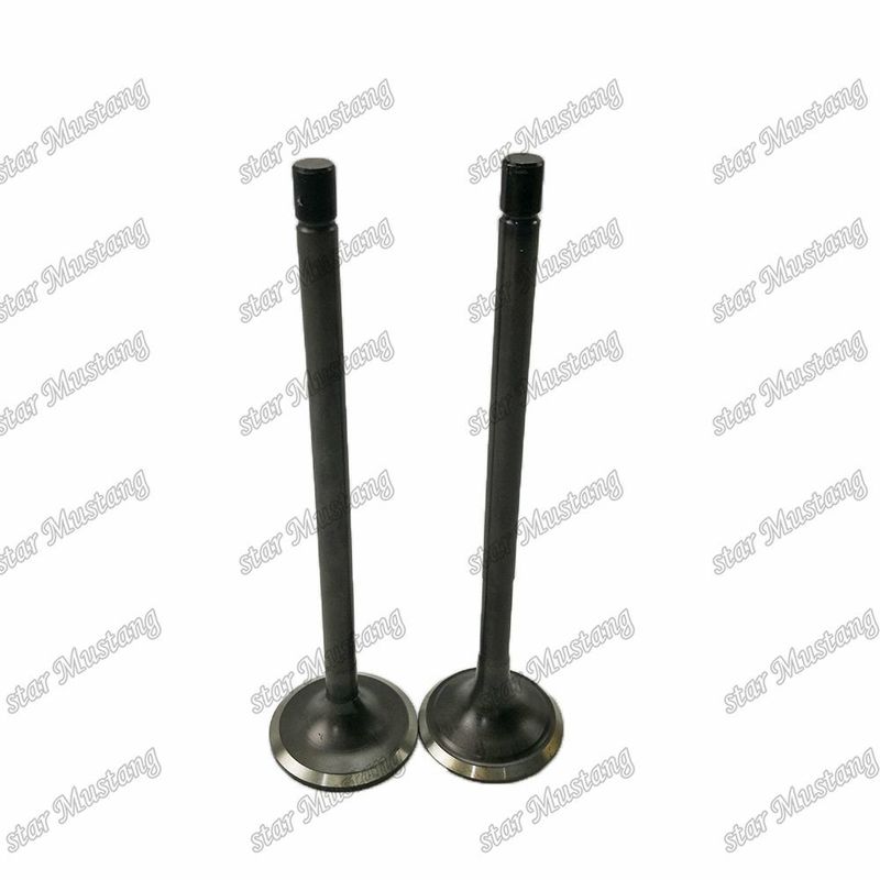 Βαλβίδα 6D125 6D125-N 6150-42-4110 6150-42-4210 Κατάλληλη για ανταλλακτικά κινητήρων Komatsu