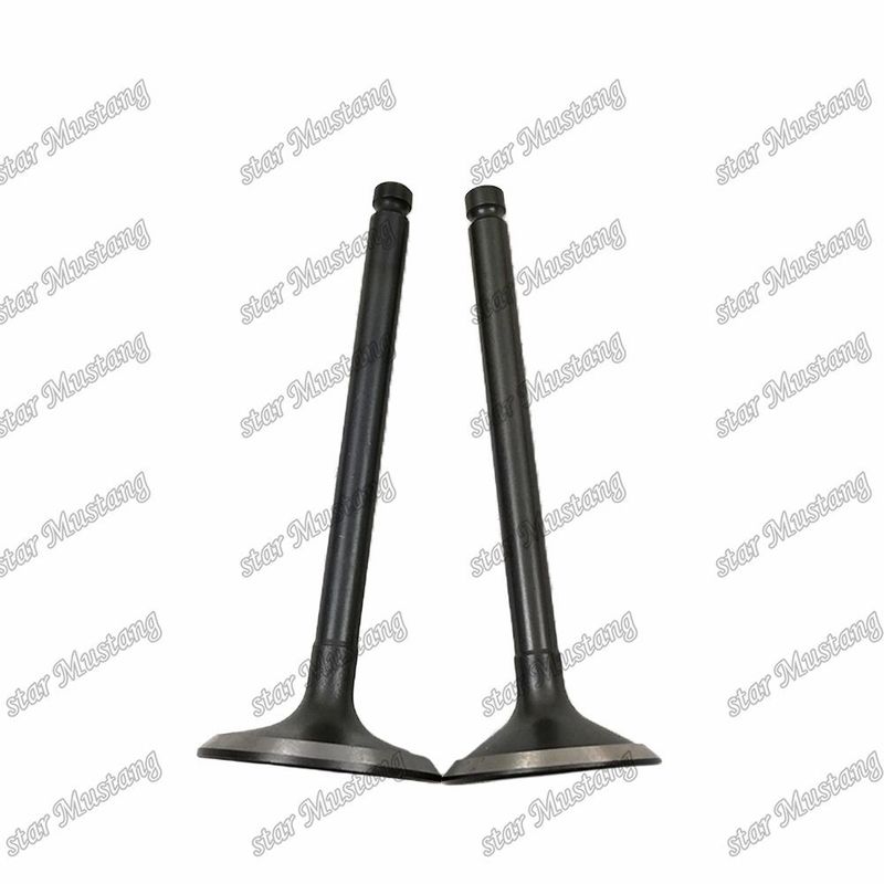 Βαλβίδα 3KR1 8941190881 8-94119088-1 5125520462 5-12552046-2 Για ανταλλακτικά κινητήρων Isuzu
