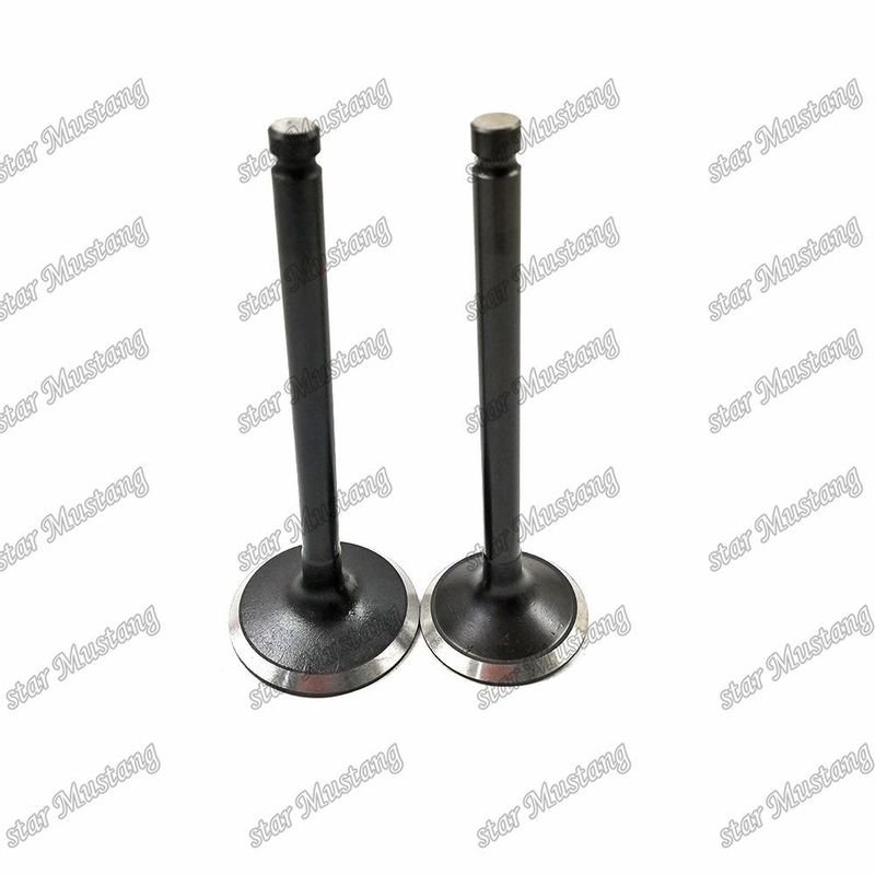 Βαλβίδα 3KR1 8941190881 8-94119088-1 5125520462 5-12552046-2 Για ανταλλακτικά κινητήρων Isuzu