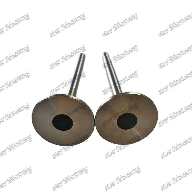 Βαλβίδα 4HL1 IN 8-94395-113-1 EX 8-94395-462-0 Κατάλληλη για ανταλλακτικά κινητήρων Isuzu