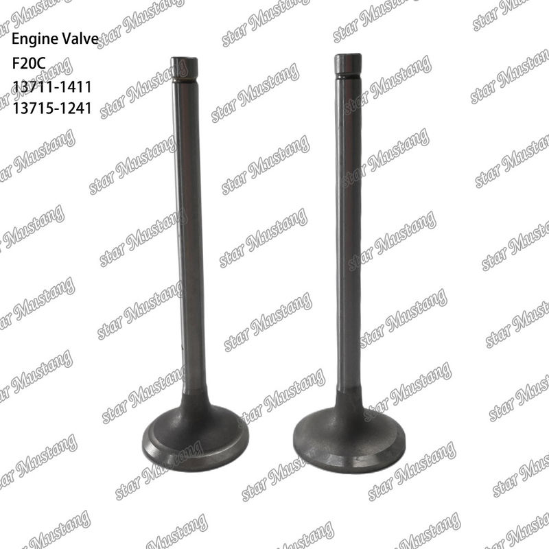 Φαλβίδα κινητήρα F20C 13711-1411 13715-1241 Κατάλληλη για ανταλλακτικά κινητήρα Hino