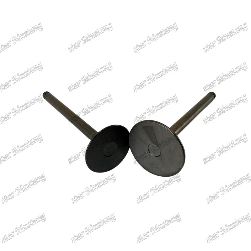 Εναλλακτικά μέρη κινητήρα Hino W04D IN 13711-1430 EX 13715-1260 Βαλβίδα για πετρελαιοκίνητα οχήματα