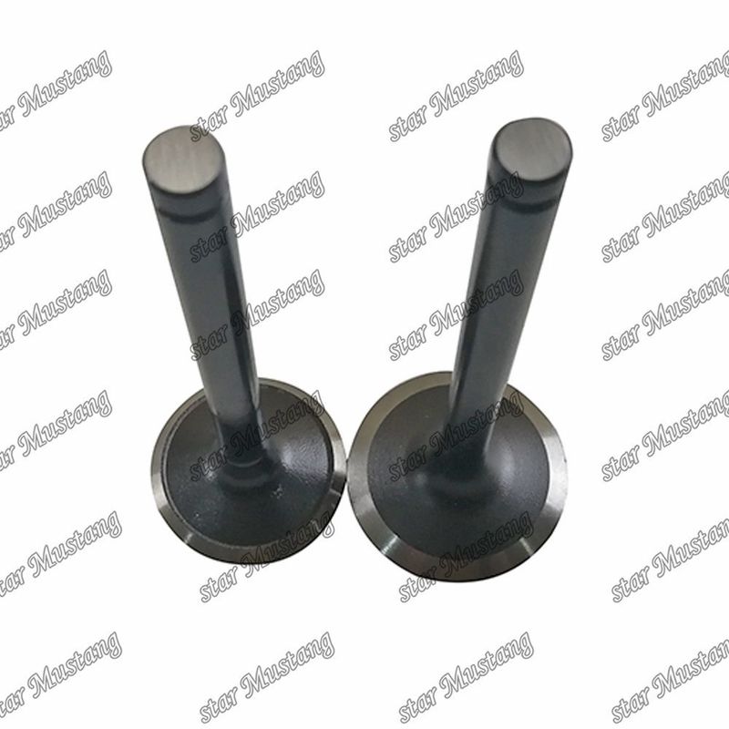 Βαλβίδα W06D W06E 13711-1521 13715-1570 Κατάλληλη για ανταλλακτικά κινητήρα Hino