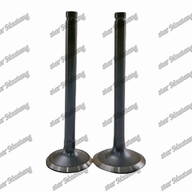 Βαλβίδα W06D W06E 13711-1521 13715-1570 Κατάλληλη για ανταλλακτικά κινητήρα Hino