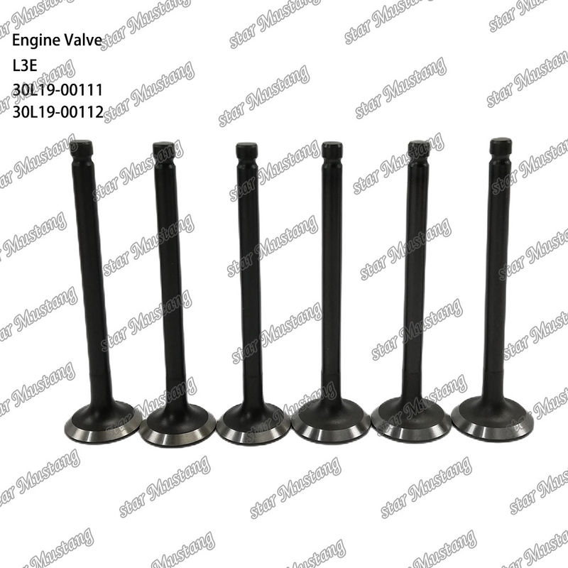 Λ3Ε 30L19-00111 30L19-00112 Βαλβίδα κινητήρα ντίζελ Κατάλληλη για ανταλλακτικά Mitsubishi