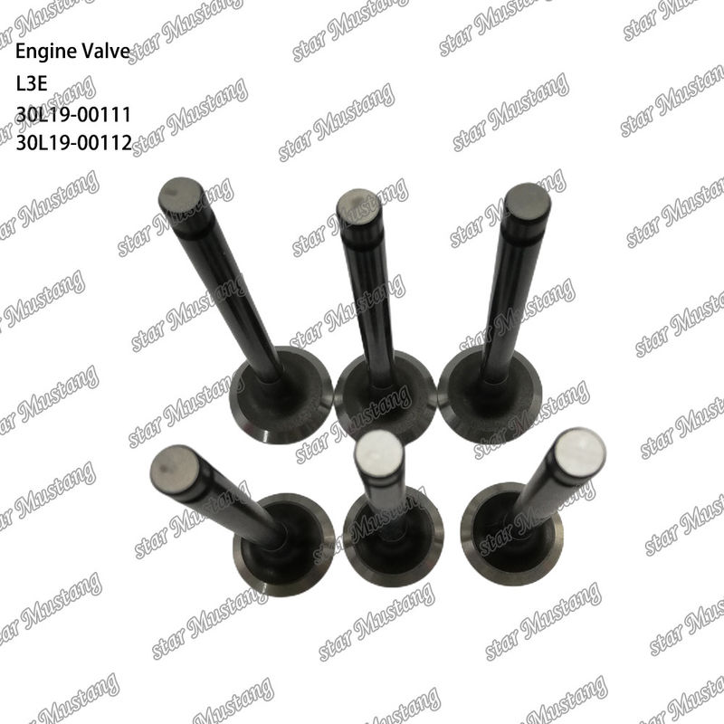 Λ3Ε 30L19-00111 30L19-00112 Βαλβίδα κινητήρα ντίζελ Κατάλληλη για ανταλλακτικά Mitsubishi