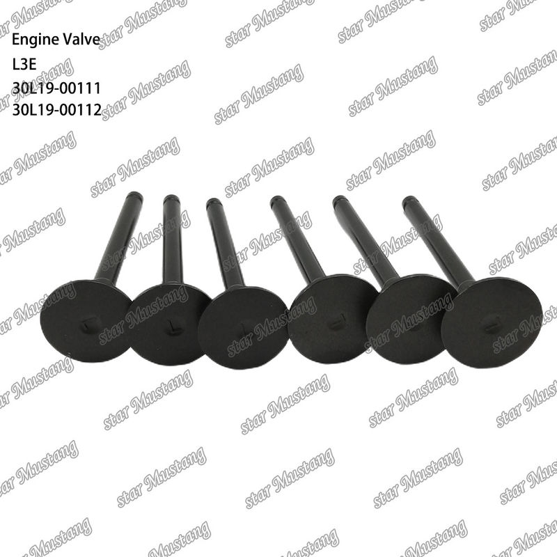 Λ3Ε 30L19-00111 30L19-00112 Βαλβίδα κινητήρα ντίζελ Κατάλληλη για ανταλλακτικά Mitsubishi