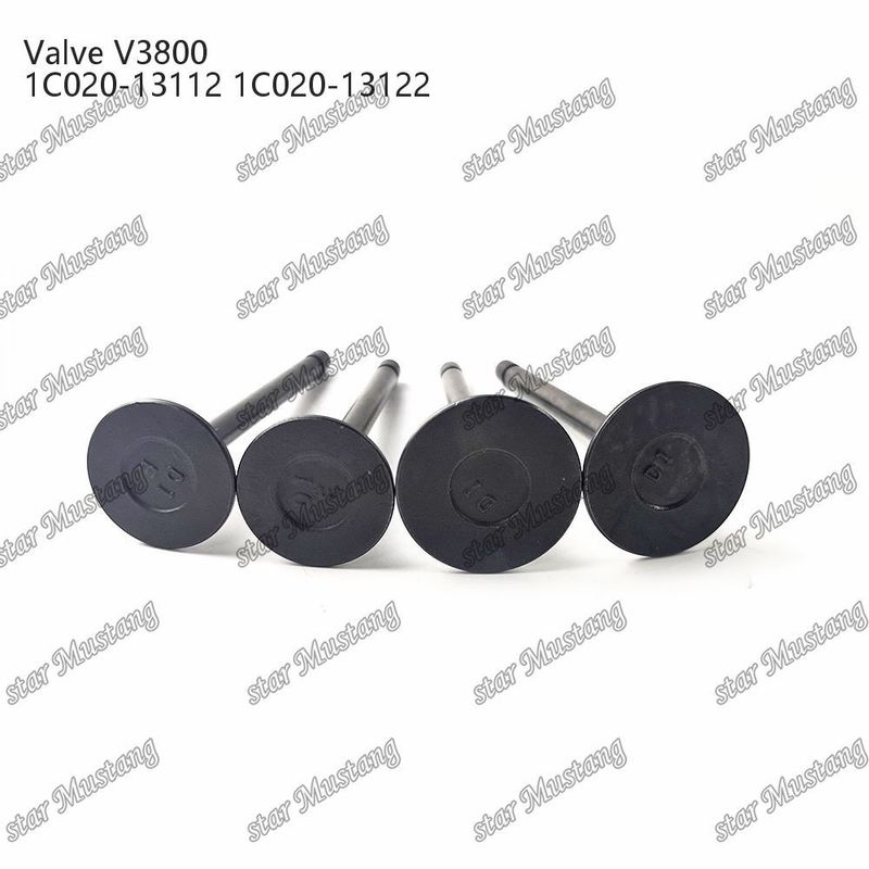 V3800 1C020-13112 1C020-13122 Μέρος κινητήρα ντίζελ Original Stock Integral Structure Valve με υποστήριξη σε απευθείας σύνδεση