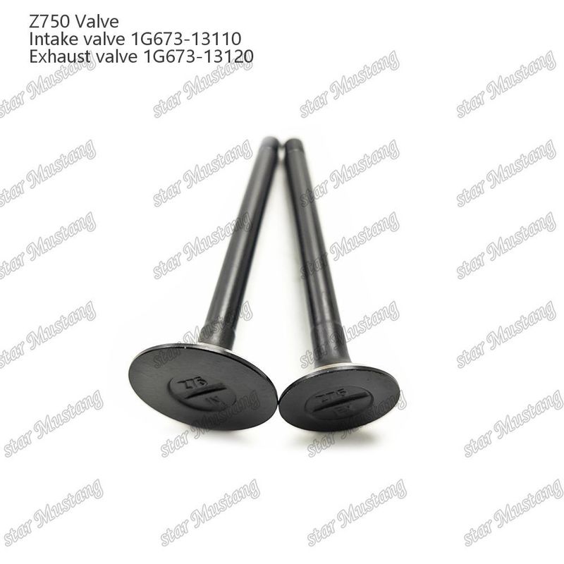 Συμπληρωματική δομή βαλβίδας Z750 1G673-13110 1G673-13120 Diesel Engine Μέρος αρχικό απόθεμα με online υποστήριξη Μετά
