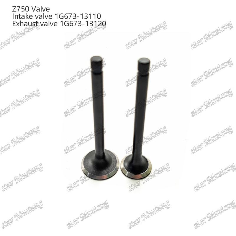 Συμπληρωματική δομή βαλβίδας Z750 1G673-13110 1G673-13120 Diesel Engine Μέρος αρχικό απόθεμα με online υποστήριξη Μετά