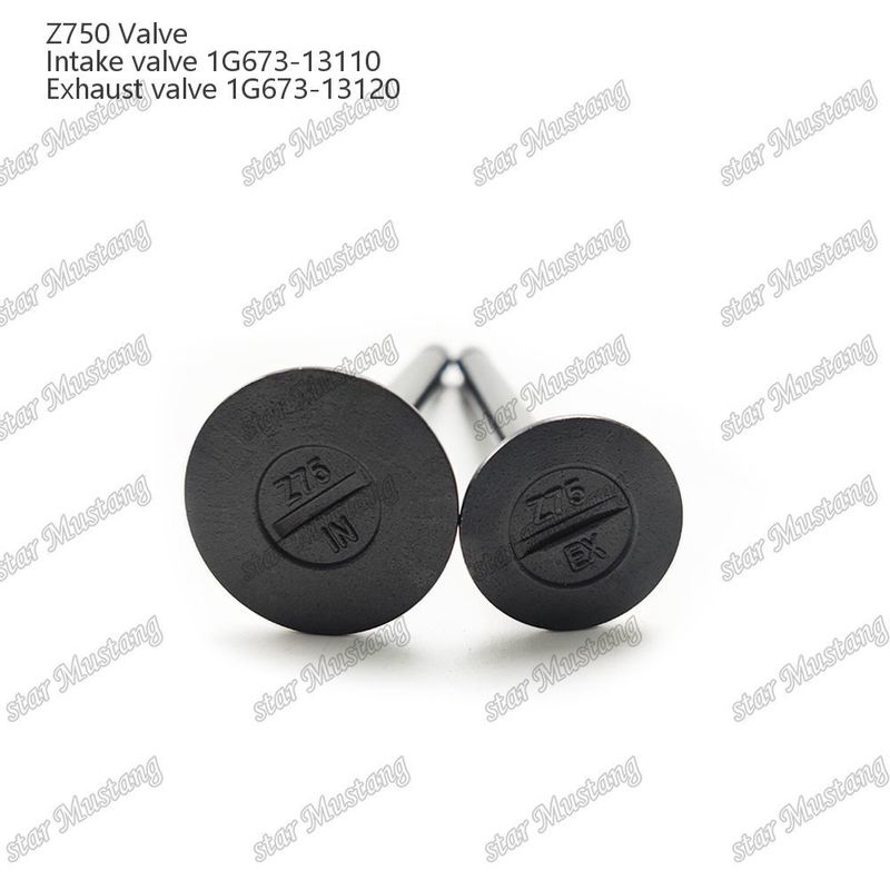 Συμπληρωματική δομή βαλβίδας Z750 1G673-13110 1G673-13120 Diesel Engine Μέρος αρχικό απόθεμα με online υποστήριξη Μετά