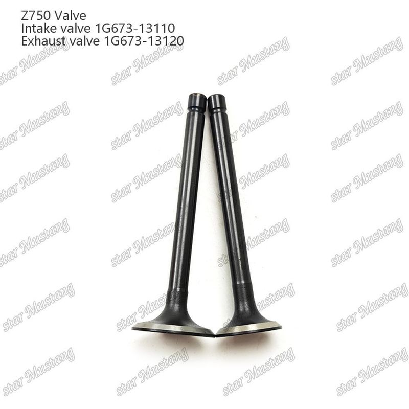 Συμπληρωματική δομή βαλβίδας Z750 1G673-13110 1G673-13120 Diesel Engine Μέρος αρχικό απόθεμα με online υποστήριξη Μετά