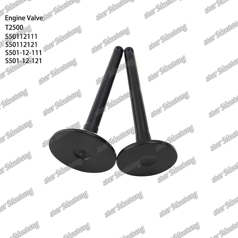 Συμπληρωματική δομή βαλβίδας T2500 S50112111 S50112121 S501-12-111 S501-12-121 Diesel Engine Μέρος αρχικό απόθεμα με online υποστήριξη Μετά