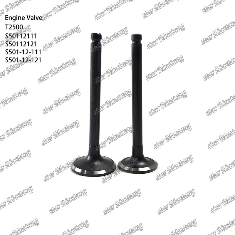Συμπληρωματική δομή βαλβίδας T2500 S50112111 S50112121 S501-12-111 S501-12-121 Diesel Engine Μέρος αρχικό απόθεμα με online υποστήριξη Μετά