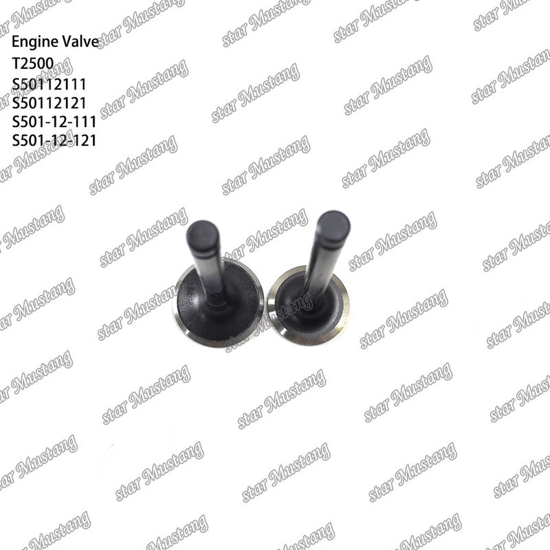 Συμπληρωματική δομή βαλβίδας T2500 S50112111 S50112121 S501-12-111 S501-12-121 Diesel Engine Μέρος αρχικό απόθεμα με online υποστήριξη Μετά