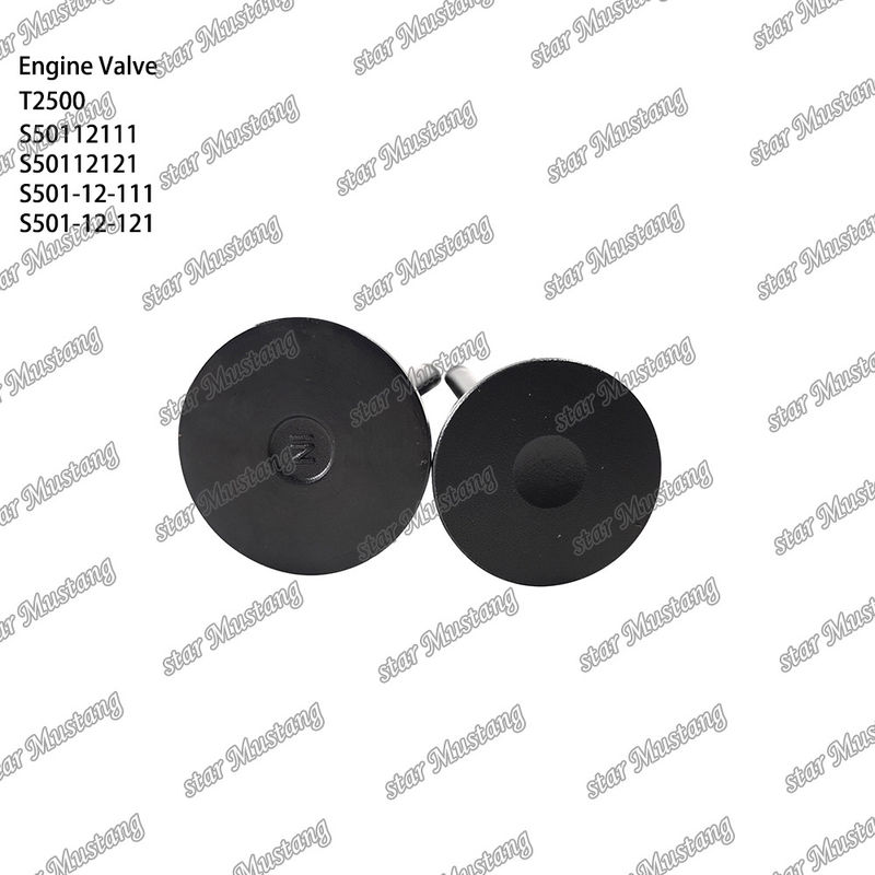 Συμπληρωματική δομή βαλβίδας T2500 S50112111 S50112121 S501-12-111 S501-12-121 Diesel Engine Μέρος αρχικό απόθεμα με online υποστήριξη Μετά