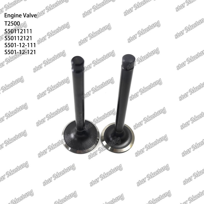 Συμπληρωματική δομή βαλβίδας T2500 S50112111 S50112121 S501-12-111 S501-12-121 Diesel Engine Μέρος αρχικό απόθεμα με online υποστήριξη Μετά