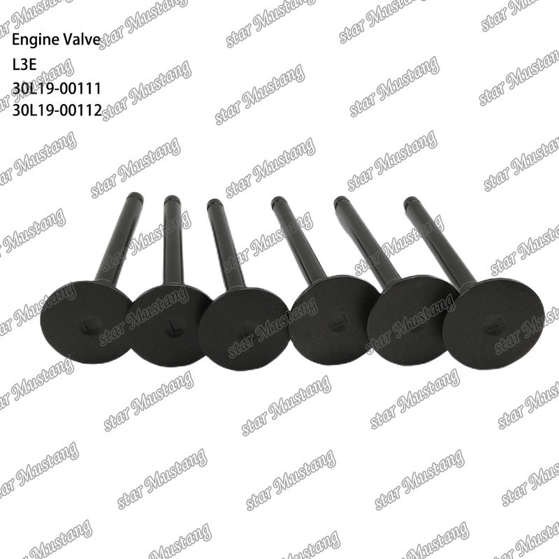 L3E 30L19-00111 30L19-00112 Μέρος κινητήρα ντίζελ Αρχικό απόθεμα με επιγραμμική υποστήριξη Μετά