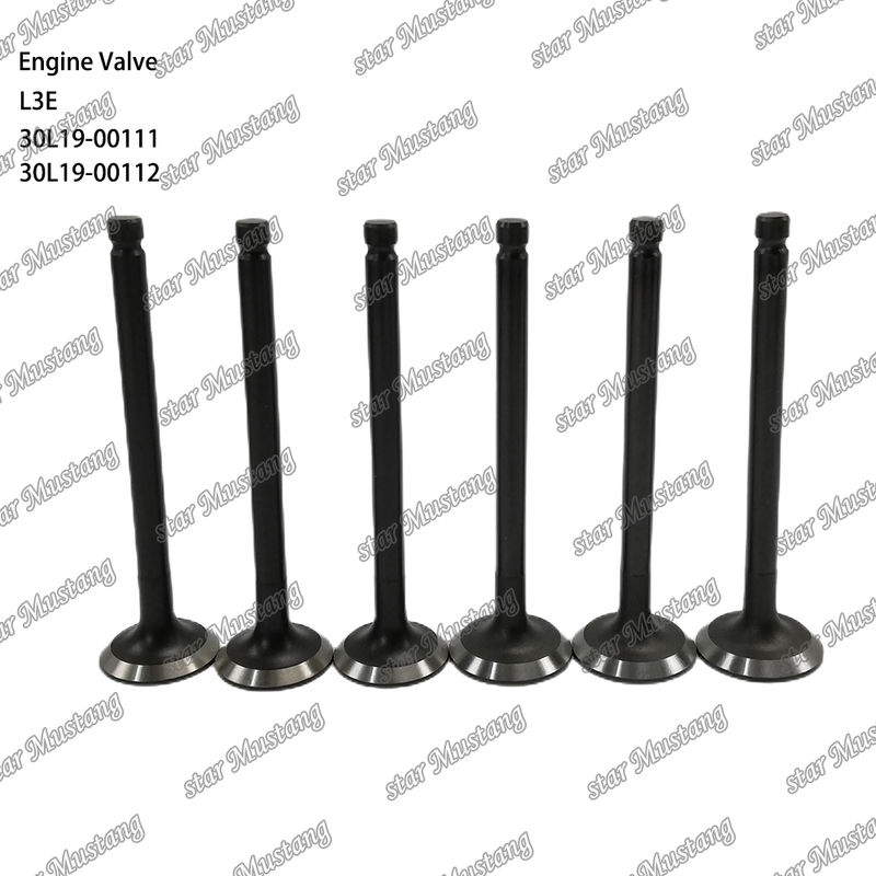 L3E 30L19-00111 30L19-00112 Μέρος κινητήρα ντίζελ Αρχικό απόθεμα με επιγραμμική υποστήριξη Μετά