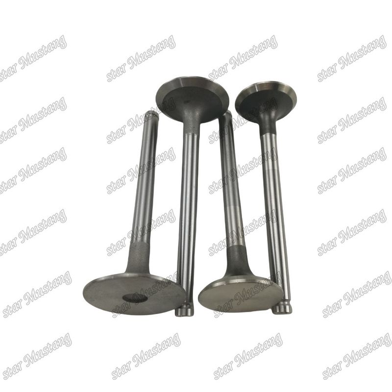Συμπληρωματική δομή βαλβίδας 1004T 3142H002 3142A051 κινητήρα ντίζελ μέρος αρχικό απόθεμα με online υποστήριξη μετά