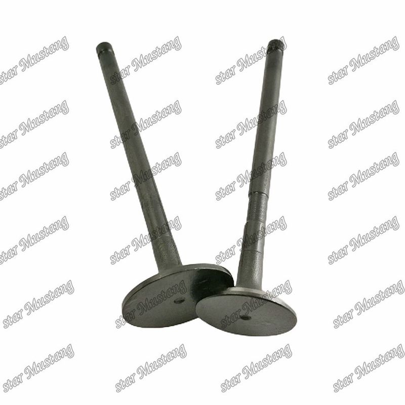 Συμπληρωματική δομή βαλβίδας 3TNV84T 129005-11100 129508-11100 Diesel Engine Μέρος αρχικό απόθεμα με online υποστήριξη Μετά