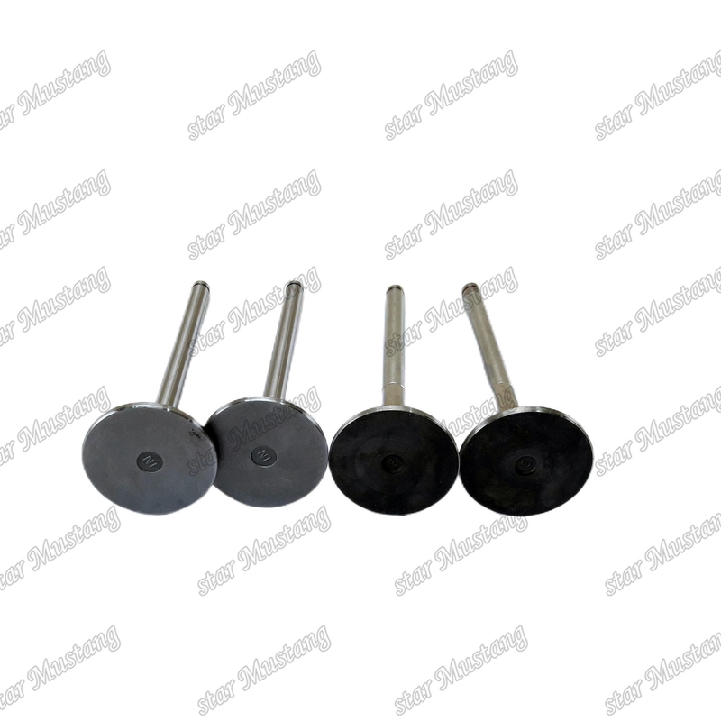 Βαλβίδα 6D170 IN 6162-43-4111 EX 6164-41-4210 Για μέρη κινητήρων Komatsu