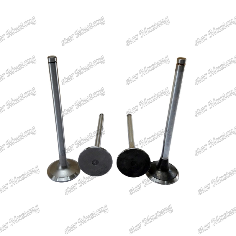 Βαλβίδα 6D170 IN 6162-43-4111 EX 6164-41-4210 Για μέρη κινητήρων Komatsu